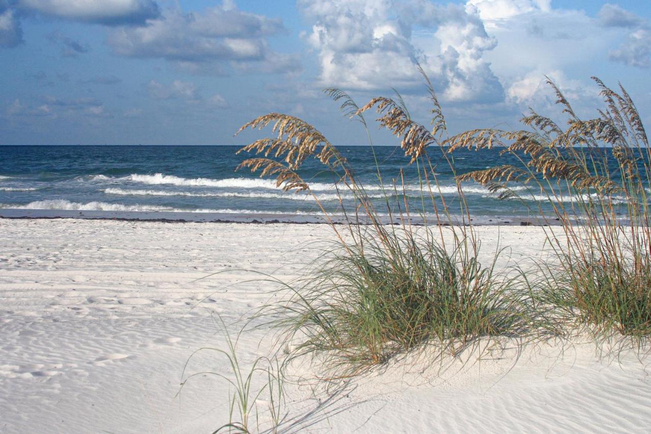 The Palm Condos St. Pete Beach Εξωτερικό φωτογραφία